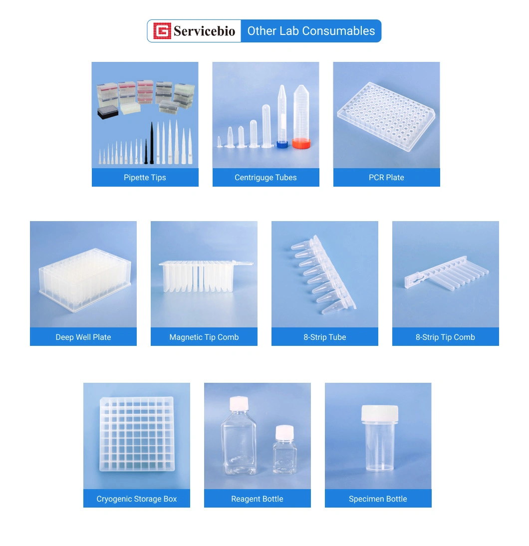 Ce ISO Certifacate Microscope Slide Case