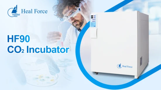 Heal Force Lab Cell Culture CO2 Incubadora 150L Biología para equipos de laboratorio Incubadora de CO2