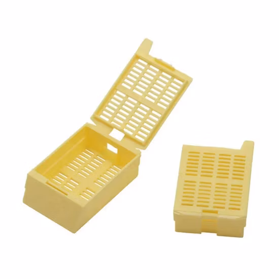 Cassettes de inclusión de tejido de histología de agujeros redondos de plástico desechables para laboratorio