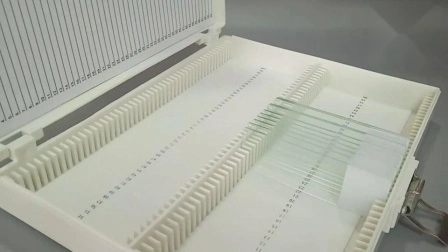 Caja de almacenamiento de portaobjetos de microscopio de histología de plástico