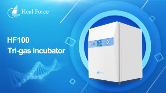 Incubadora de CO2 Equipo de laboratorio de biología Incubadora de cultivo celular Incubadora de CO2